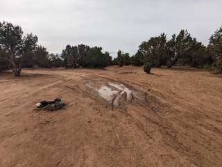 Blake Gubler Road BLM