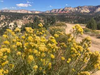 Old Highway 89 Dispersed BLM Site