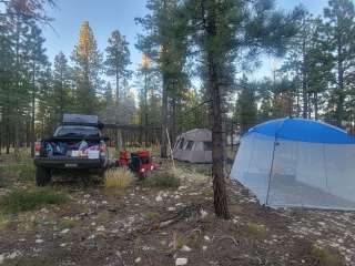 Harris Rim & Stout Canyon Dispersed