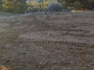 Whiskey Creek Road - Dispersed Site