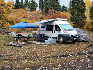 Jimmy's Fork - Dispersed Campsite