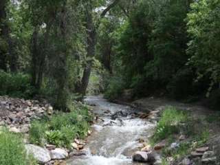 Oak Creek (fishlake National Forest, Utah)