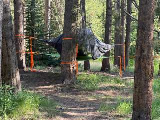 Lodgepole Campground at Heber