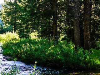 Sulphur Campground