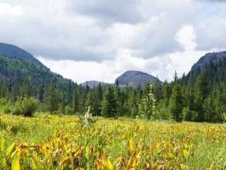 Ledgefork - Jordanelle State Park