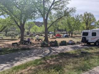 Split Mountain Campground — Dinosaur National Monument