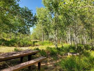 Gooseberry Creek Campground