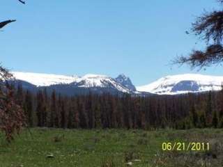 Marsh Lake Campground