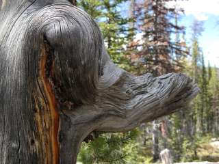 Lilly Lake Campground