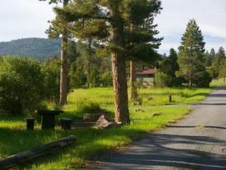 Greendale - Ashley National Forest