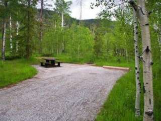 Lodgepole Campground