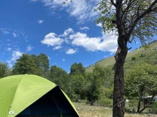 Ophir Canyon Campground 