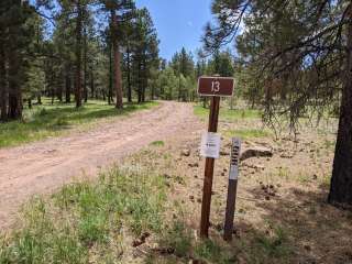 Utah Forest Road 13 Dispersed Camping