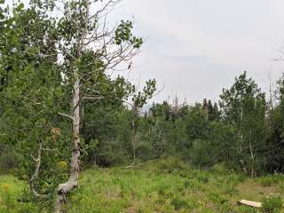 Jones Ranch Trailhead 