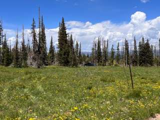 Wolf Creek Pass Primitive Areas