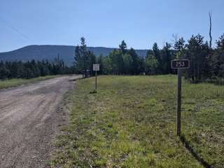 FS Road #253 Stringham Cabin Dispersed Camping Area