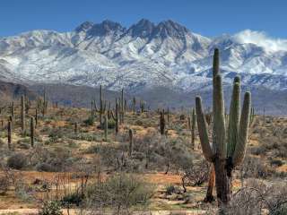 Four Peaks Dispersed Camping 