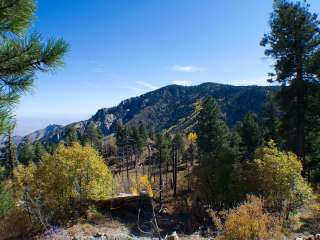 Clark Peak Dispersed Campsite