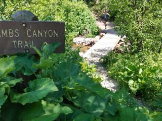 Millcreek Canyon Backcountry Camping and Yurts