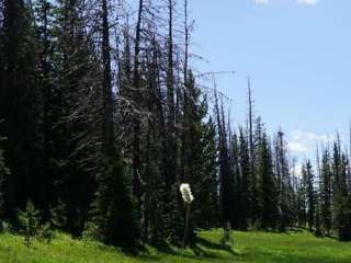 Lost Creek Campground