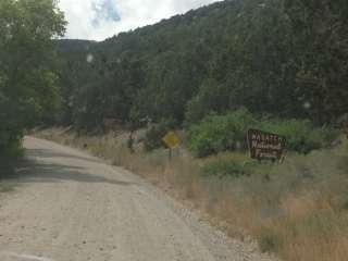 Cottonwood Campground