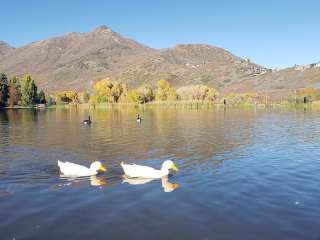 Wasatch National Forest Loop Campground