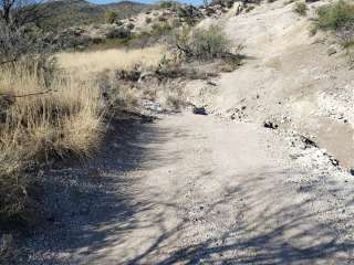 Mesquite Flats