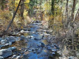 Ponderosa Picnic Area