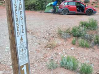 Dispersed Camping in Dixie National Forest