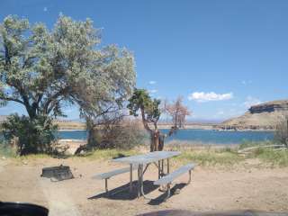 Indian Bay Campground — Fred Hayes State Park at Starvation