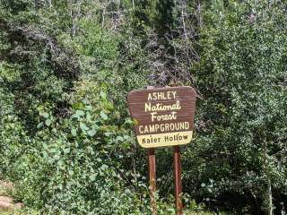 Kaler Hollow Campground - Ashley National Forest