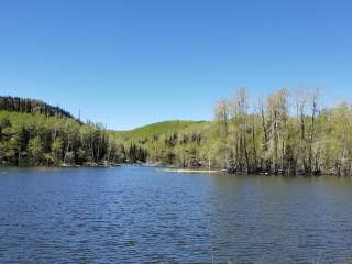 Salina Reservoir Cua Dispersed