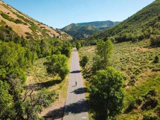 Balsam (uinta-wasatch-cache National Forest, Ut)