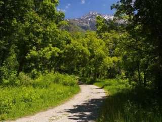 Uinta National Forest Rock Canyon Campground