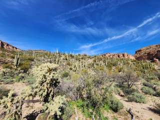 White Canyon Wilderness Dispersed