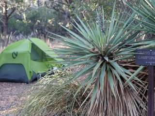 Grass Shack — Saguaro National Park