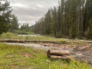 Ashley National Forest Riverview Campground