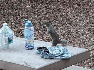 Starr Spring Campground