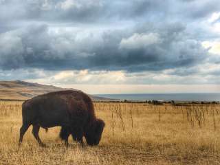 Ladyfinger Campground — Antelope Island State Park