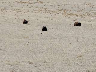 Split Rock Bay Backcountry Campsites — Antelope Island State Park