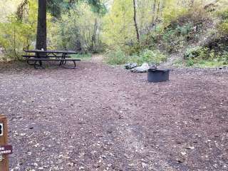 Lower Narrows Campground