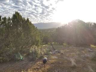 Three Creeks Reservoir