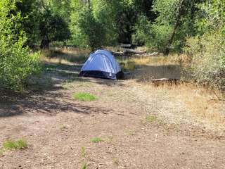 Uinta National Forest Diamond Campground