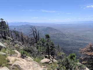 Cunningham Campground