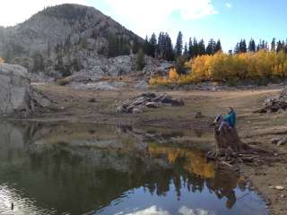 Albion Basin - Dispersed