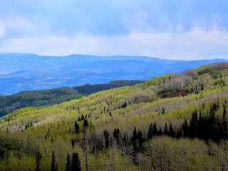 Fish Lake National Forest Campsite