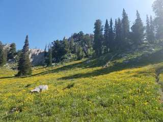 Lone Peak Cirque Dispersed