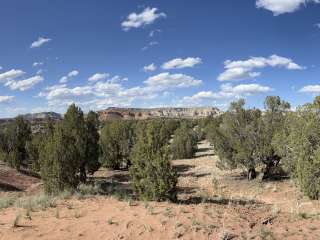 Rock Springs Bench