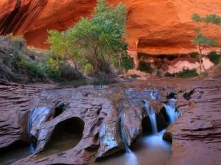 Coyote Gulch — Glen Canyon National Recreation Area