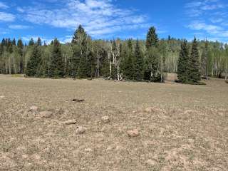 Betenson Flat Trailhead